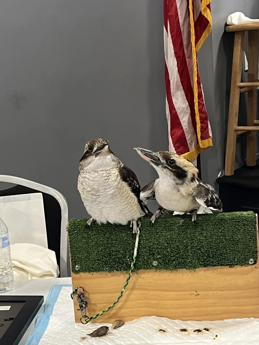 Photos That Look Totally Normal Until You Zoom In