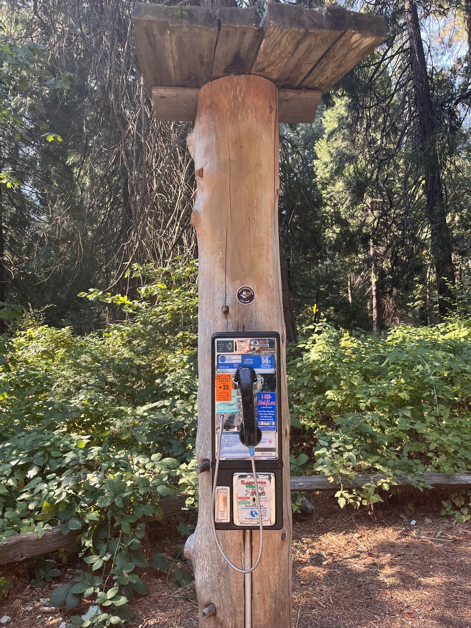 USA TRIE 50c SAVESON COLLEG * 22 1-888- Dial4Less 341-5453 II This Use Fresh An Callin (209)372-4238 5 MINE TOS 3 MINUTES PUSH