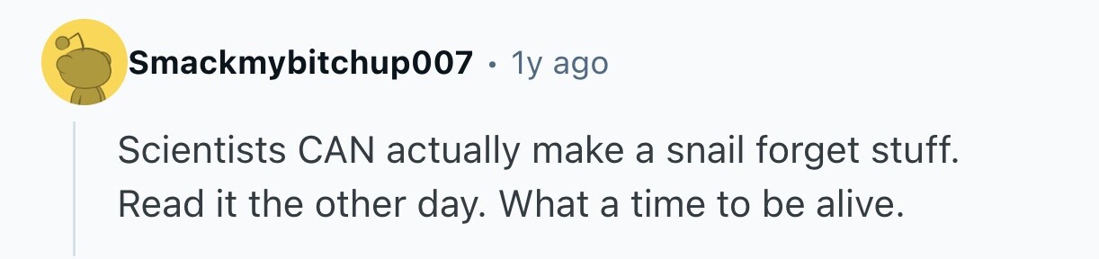 Smackmybitchup007 . 1y ago Scientists CAN actually make a snail forget stuff. Read it the other day. What a time to be alive.