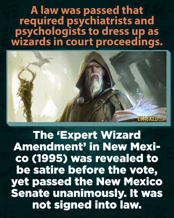 A law was passed that required psychiatrists and psychologists to dress up as wizards in court proceedings. GRACKED.COM The 'Expert Wizard Amendment' in New Mexi- со (1995) was revealed to be satire before the vote, yet passed the New Mexico Senate unanimously. It was not signed into law.