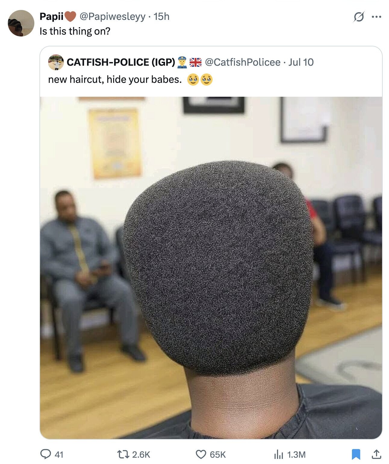 s ... Papii @Papiwesleyy 1 15h Is this thing on? CATFISH-POLICE (IGP) @CatfishPolicee Jul 10 new haircut, hide your babes. 41 2.6K 65K del 1.3M