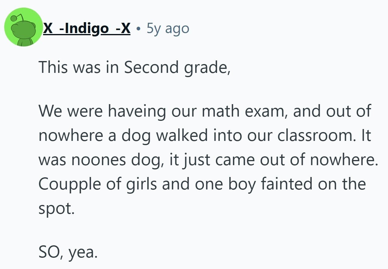 X -Indigo -X . 5y ago This was in Second grade, We were haveing our math exam, and out of nowhere a dog walked into our classroom. It was noones dog, it just came out of nowhere. Coupple of girls and one boy fainted on the spot. SO, yea. 