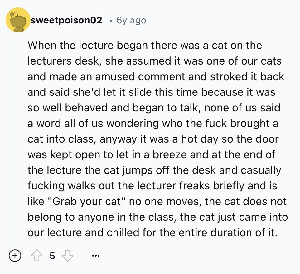 sweetpoison02 6y ago When the lecture began there was a cat on the lecturers desk, she assumed it was one of our cats and made an amused comment and stroked it back and said she'd let it slide this time because it was so well behaved and began to talk, none of us said a word all of us wondering who the fuck brought a cat into class, anyway it was a hot day so the door was kept open to let in a breeze and at the end of the lecture the cat jumps off the desk and casually
