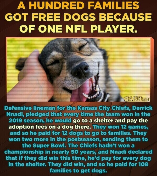 A HUNDRED FAMILIES GOT FREE DOGS BECAUSE OF ONE NFL PLAYER. CRACKED.COM Defensive lineman for the Kansas City Chiefs, Derrick Nnadi, pledged that every time the team won in the 2019 season, he would go to a shelter and pay the adoption fees on a dog there. They won 12 games, and so he paid for 12 dogs to go to families. They won two more in the postseason, sending them to the Super Bowl. The Chiefs hadn't won a championship in nearly 50 years, and Nnadi declared that if they did win this time, he'd pay for every dog