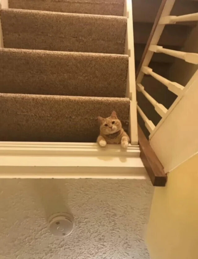 Photos That Look Totally Normal Until You Zoom In