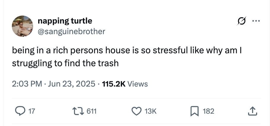 napping turtle ... @sanguinebrother being in a rich persons house is so stressful like why am I struggling to find the trash 2:03 PM Jun 23, 2025 115.2K Views 17 611 13K 182