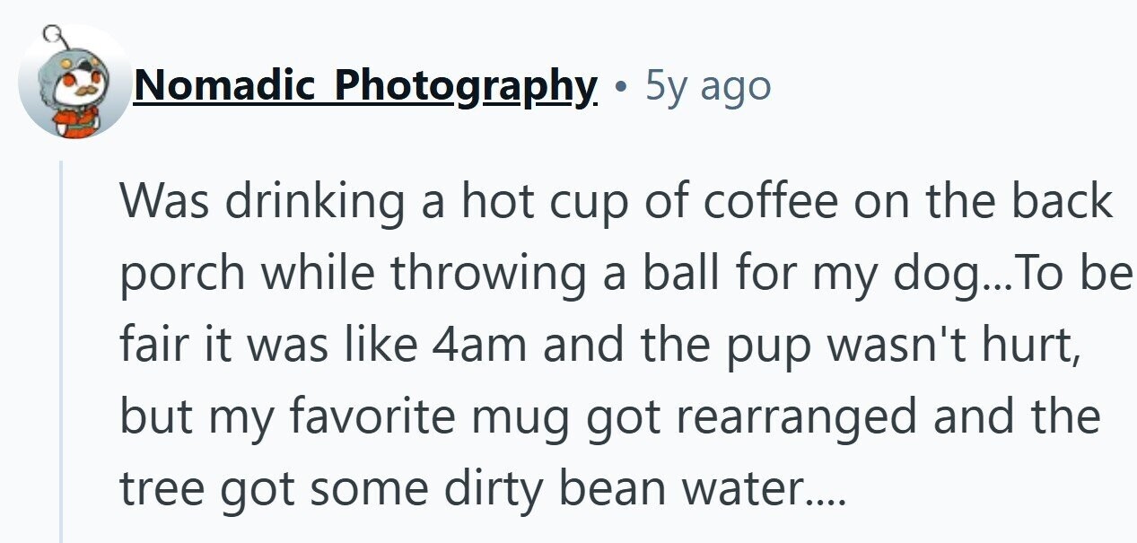 Nomadic Photography . 5y ago Was drinking a hot cup of coffee on the back porch while throwing a ball for my dog... To be fair it was like 4am and the pup wasn't hurt, but my favorite mug got rearranged and the tree got some dirty bean water....