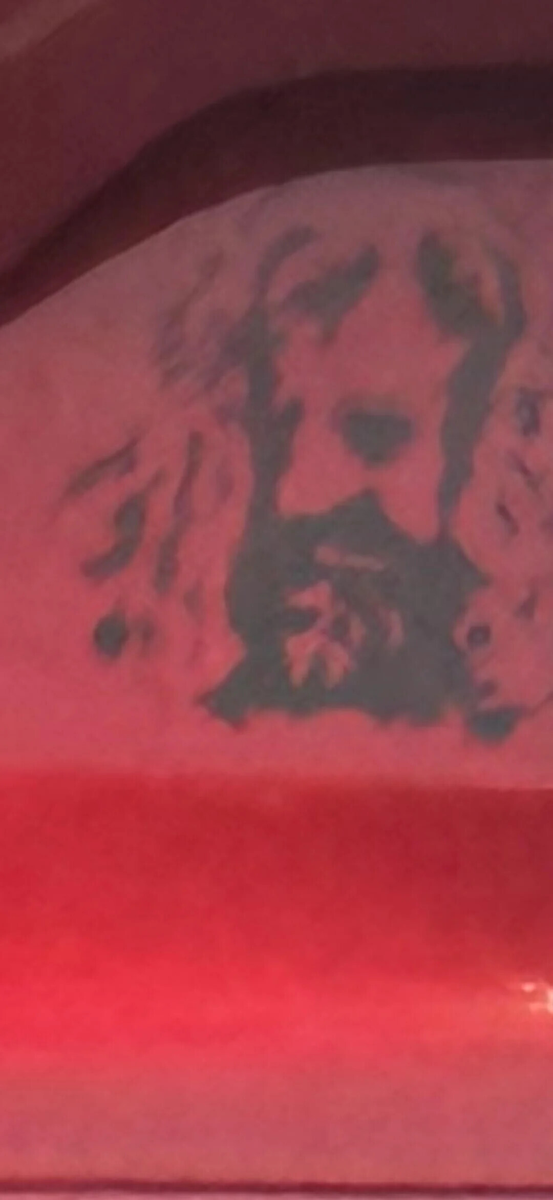 Photos That Look Totally Normal Until You Zoom In