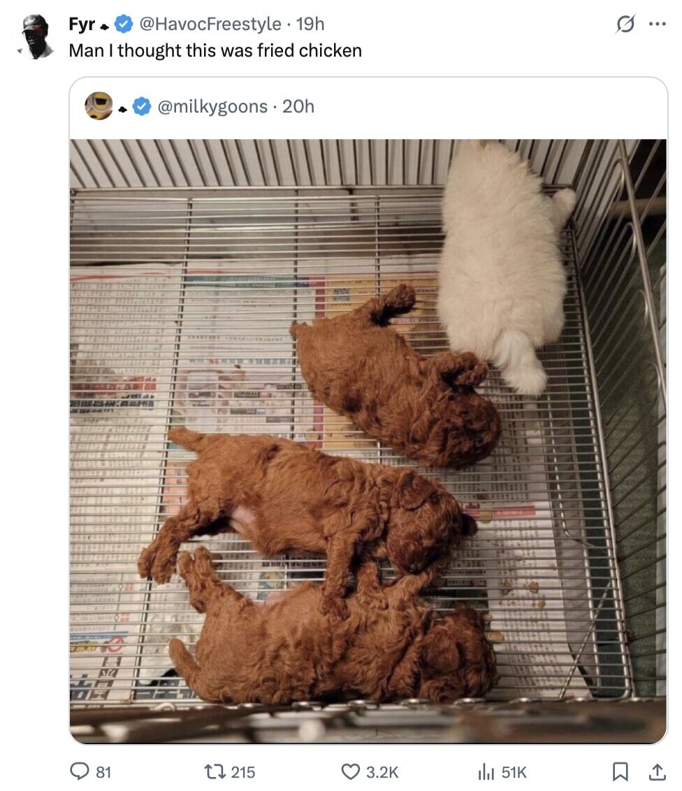 s ... Fyr @HavocFreestyle • 19h Man I thought this was fried chicken @milkygoons.20h 81 215 3.2K del 51K 