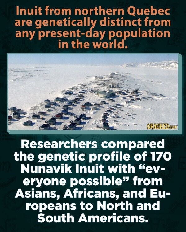 Inuit from northern Quebec are genetically distinct from any present-day population in the world. CRACKED.COM Researchers compared the genetic profile of 170 Nunavik Inuit with ev- eryone possible from Asians, Africans, and Eu- ropeans to North and South Americans.