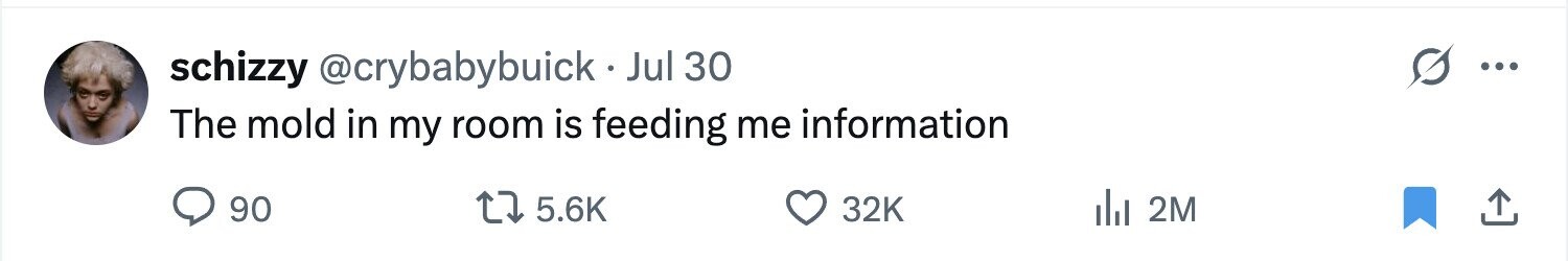 schizzy @crybabybuick.Jul 30 ... The mold in my room is feeding me information 90 5.6K 32K del 2M