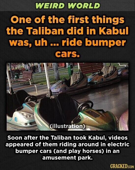 WEIRD WORLD One of the first things the Taliban did in Kabul was, uh ... ride bumper cars. (illustration) Soon after the Taliban took Kabul, videos appeared of them riding around in electric bumper cars (and play horses) in an amusement park. CRACKED.COM
