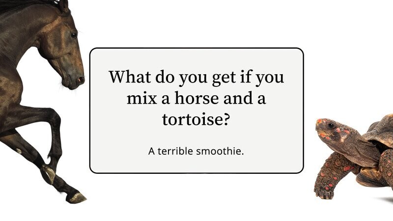 30 Anti-Humor Jokes to Crack A Frown At