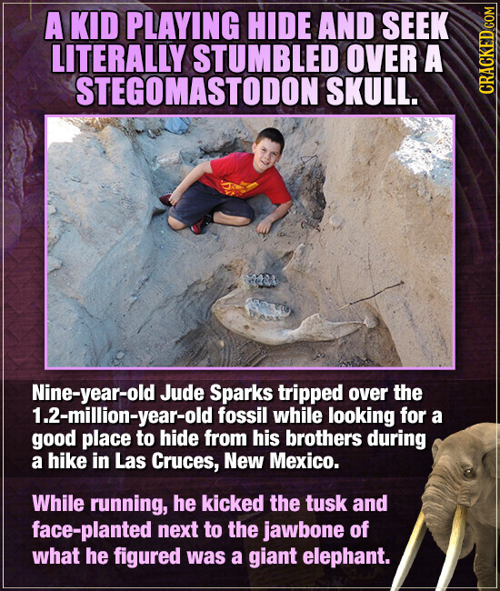 A KID PLAYING HIDE AND SEEK LITERALLY STUMBLED OVER A STEGOMASTODON SKULL. CRACKED.COM Nine-year-old Jude Sparks tripped over the 1.2-million-year-old fossil while looking for a good place to hide from his brothers during a hike in Las Cruces, New Mexico. While running, he kicked the tusk and face-planted next to the jawbone of what he figured was a giant elephant.