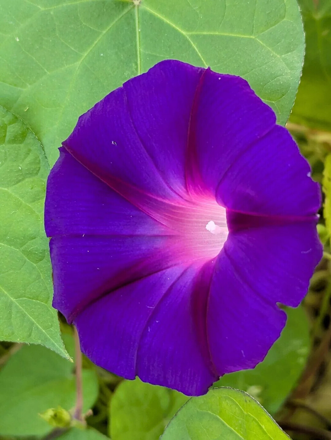 Photos That Look Totally Normal Until You Zoom In