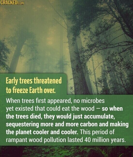 CRACKED.COM Early trees threatened to freeze Earth over. When trees first appeared, no microbes yet existed that could eat the wood- so when the trees died, they would just accumulate, sequestering more and more carbon and making the planet cooler and cooler. This period of rampant wood pollution lasted 40 million years.