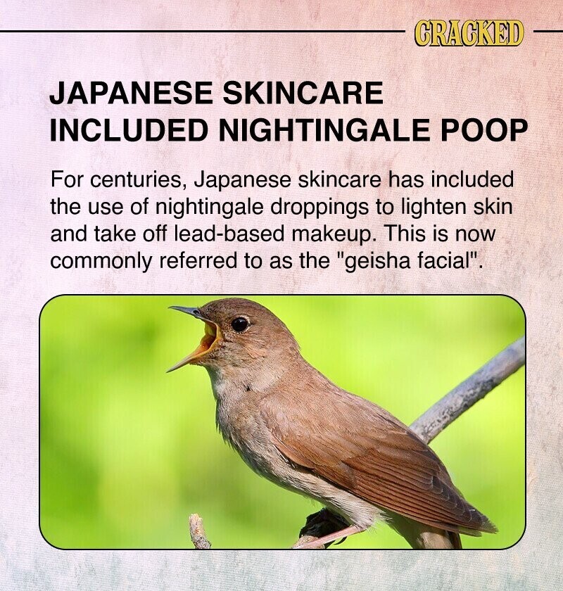 CRACKED JAPANESE SKINCARE INCLUDED NIGHTINGALE POOP For centuries, Japanese skincare has included the use of nightingale droppings to lighten skin and take off lead-based makeup. This is now commonly referred to as the geisha facial.
