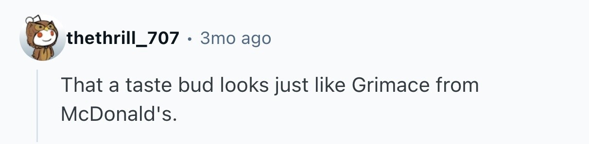 thethrill_707 . 3mo ago That a taste bud looks just like Grimace from McDonald's. 