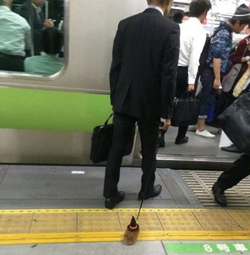 Notable Photos from a Recent Trip on the Subway