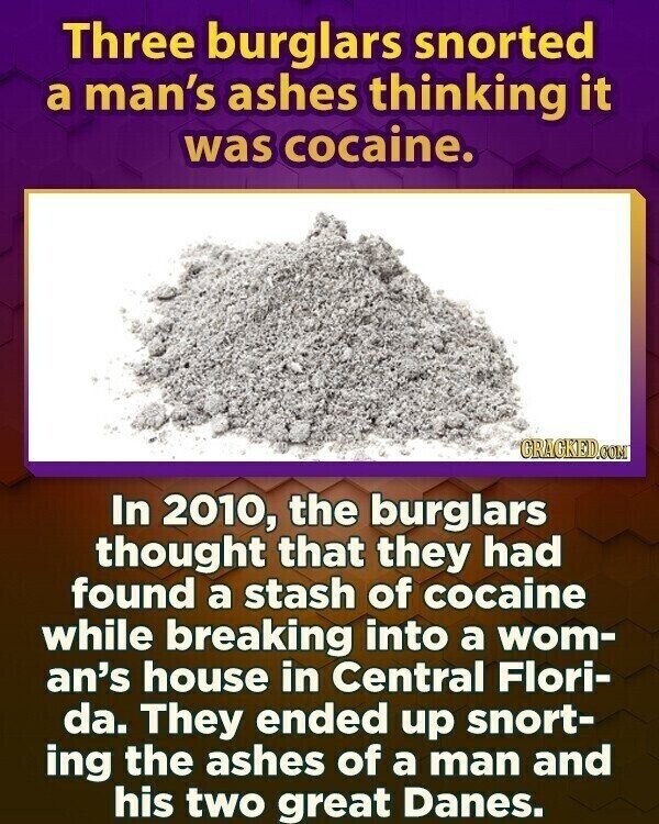 Three burglars snorted a man's ashes thinking it was cocaine. GRACKED.COM In 2010, the burglars thought that they had found a stash of cocaine while breaking into a wom- an's house in Central Flori- da. They ended up snort- ing the ashes of a man and his two great Danes.