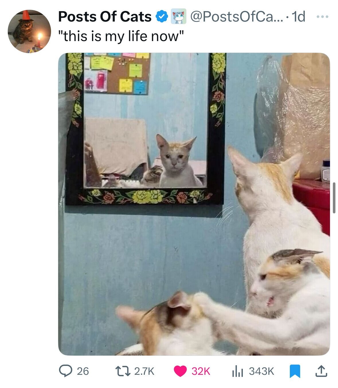 Posts Of Cats @PostsOfCa... 1d ... this is my life now 2.7K 343K 26 32K 