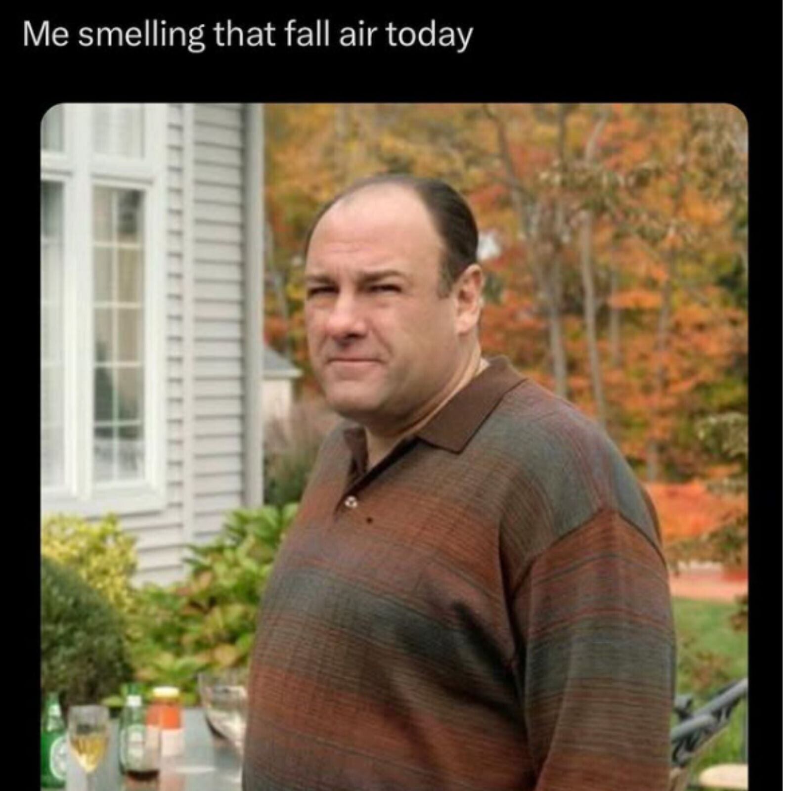 25 Cozy Fall Memes to Welcome Sweater Weather with a Warm Hello-Ween ...