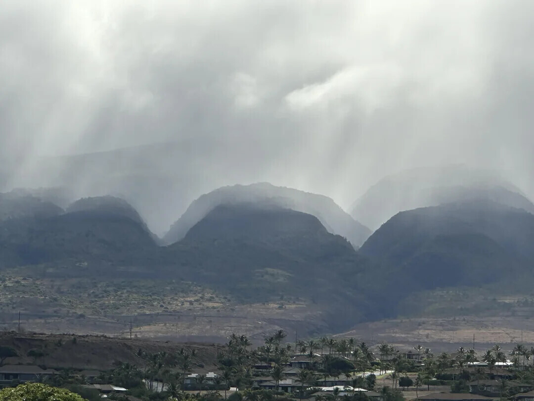 Photos That Look Totally Normal Until You Zoom In