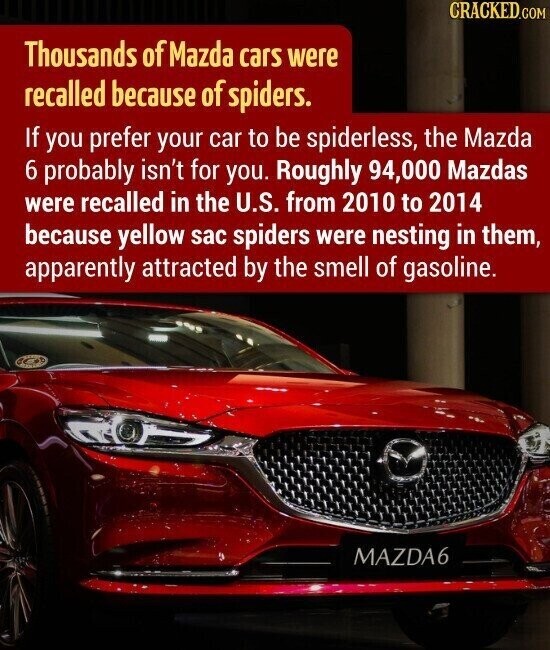 CRACKED.COM Thousands of Mazda cars were recalled because of spiders. If you prefer your car to be spiderless, the Mazda 6 probably isn't for you. Roughly 94,000 Mazdas were recalled in the U.S. from 2010 to 2014 because yellow sac spiders were nesting in them, apparently attracted by the smell of gasoline. MAZDA6