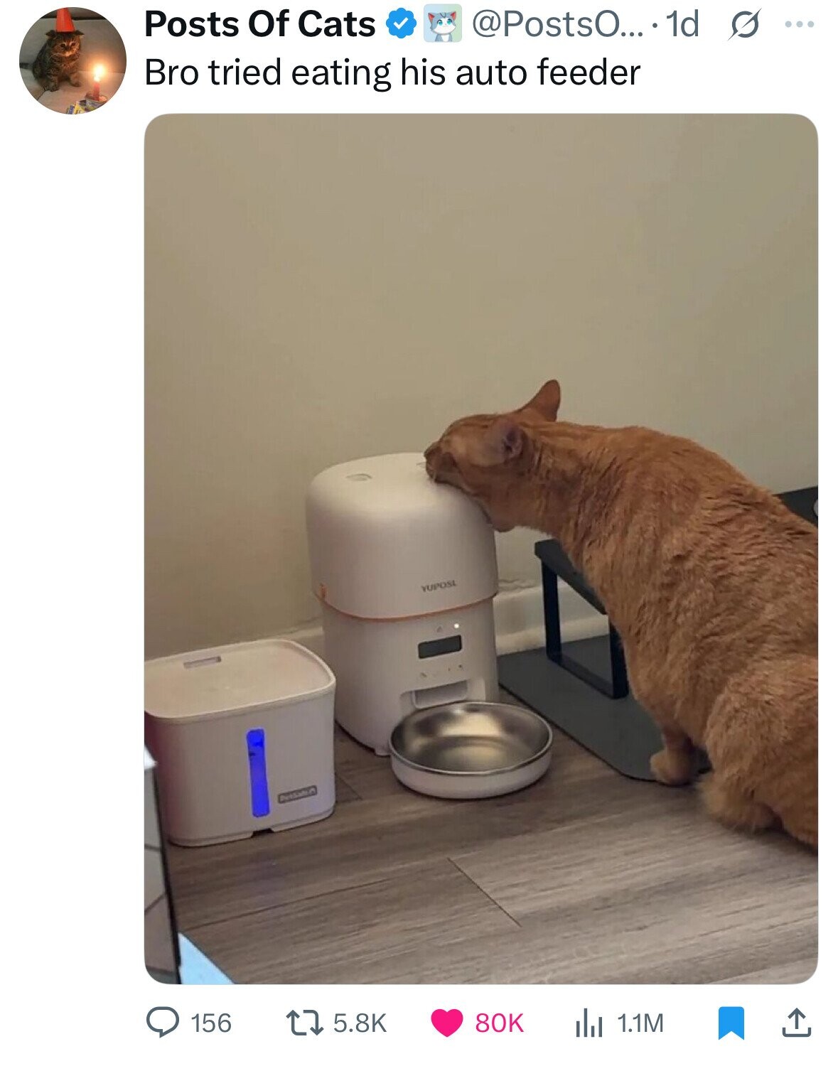 Posts Of Cats @Posts0... . 1d s ... Bro tried eating his auto feeder YUPOSL 156 5.8K 80K 1.1M 