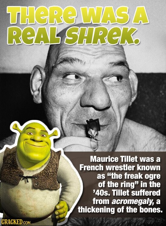 THeRe WAS A REAL SHREK. Maurice Tillet was a French wrestler known as the freak ogre of the ring in the '40s. Tillet suffered from acromegaly, a thickening of the bones. CRACKED.COM