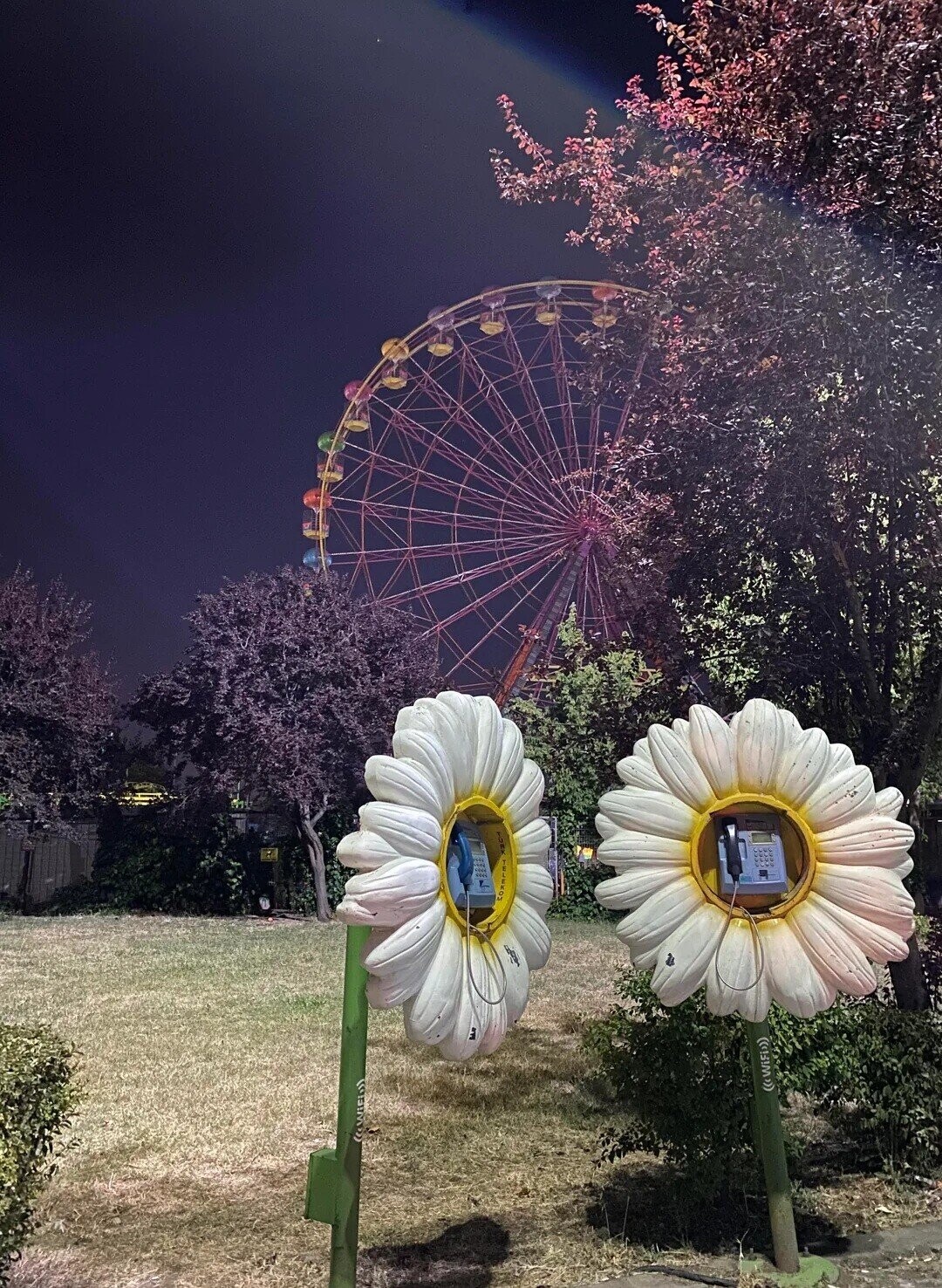 ((<WIFI») COAMPER XACH in ((<WiFi))