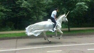 Photos Where Humanity Hit the Evolution Snooze Button