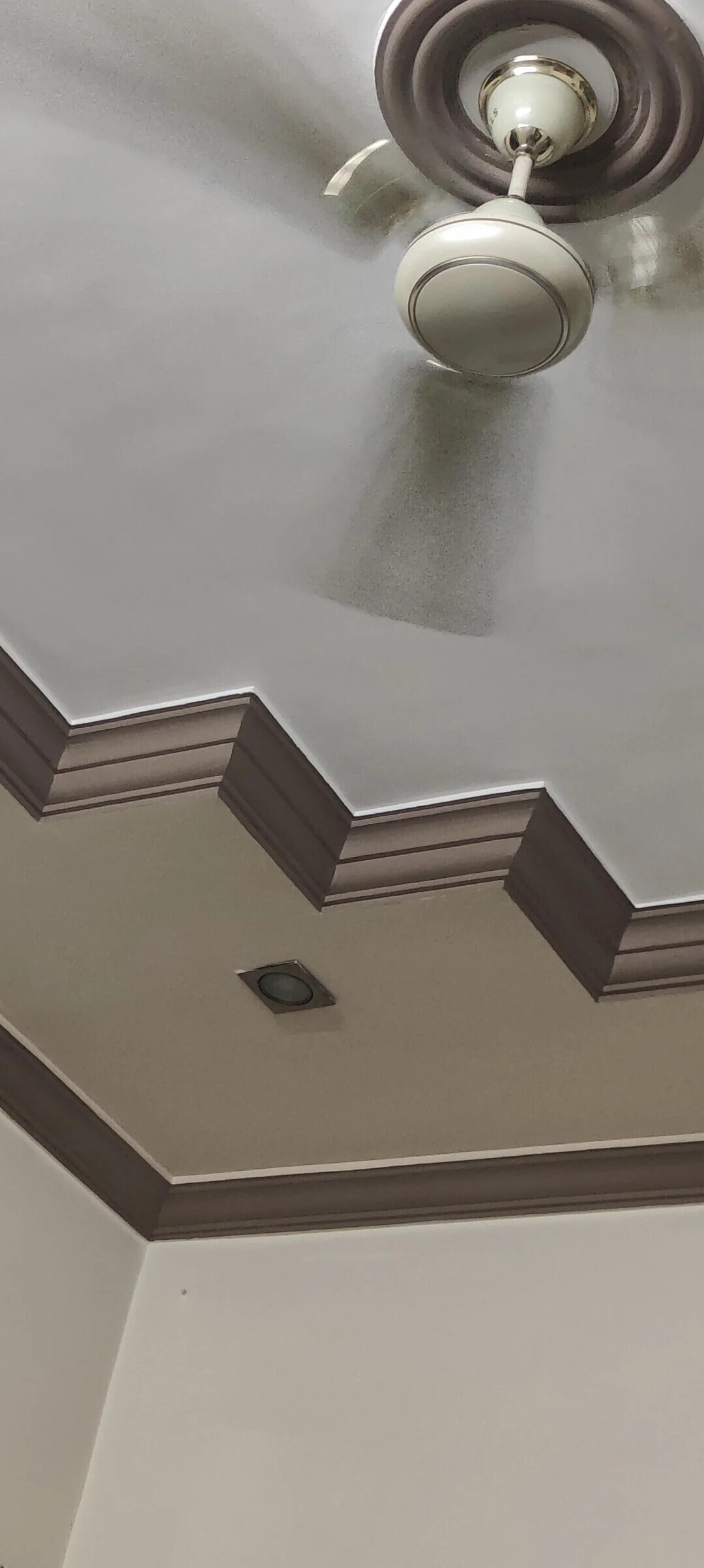 Photos That Look Totally Normal Until You Zoom In