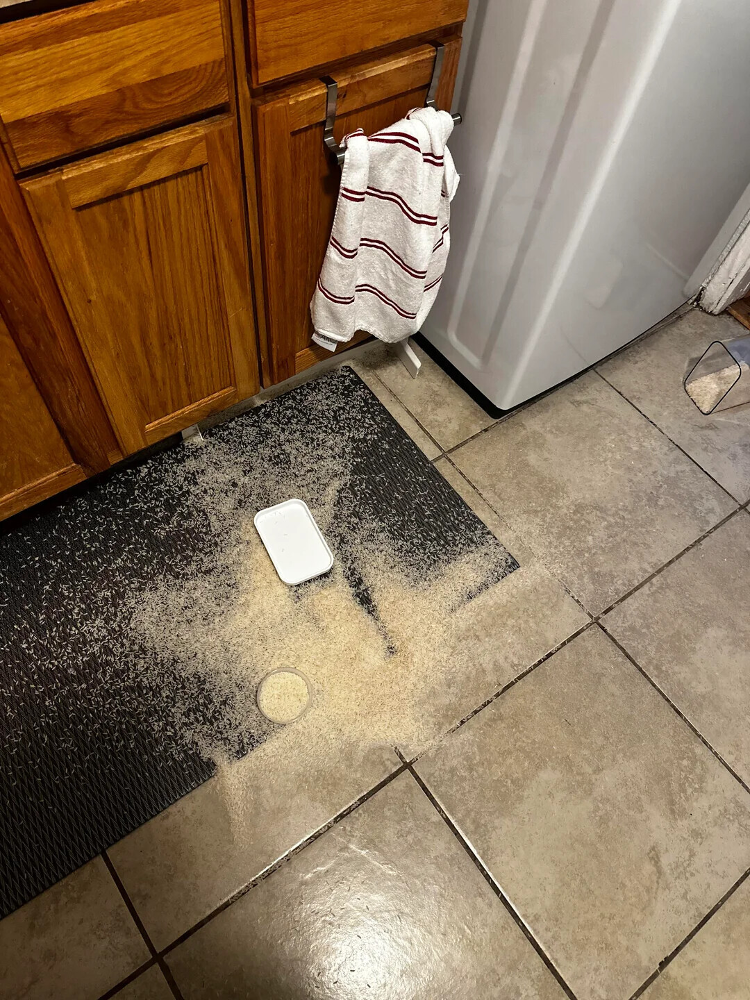 Photos That Make You Wonder If Humanity Needs a Reboot