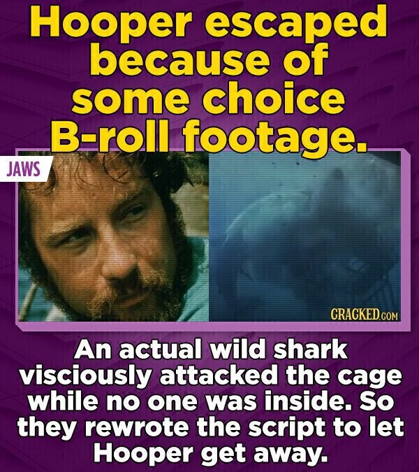 Hooper escaped because of some choice B-roll footage. JAWS CRACKED.COM An actual wild shark visciously attacked the cage while no one was inside. So they rewrote the script to let Hooper get away.