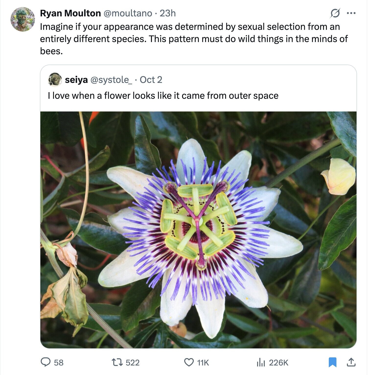 S ... Ryan Moulton @moultano 23h Imagine if your appearance was determined by sexual selection from an entirely different species. This pattern must do wild things in the minds of bees. seiya @systole_.Oct2 I love when a flower looks like it came from outer space 58 522 11K del 226K 