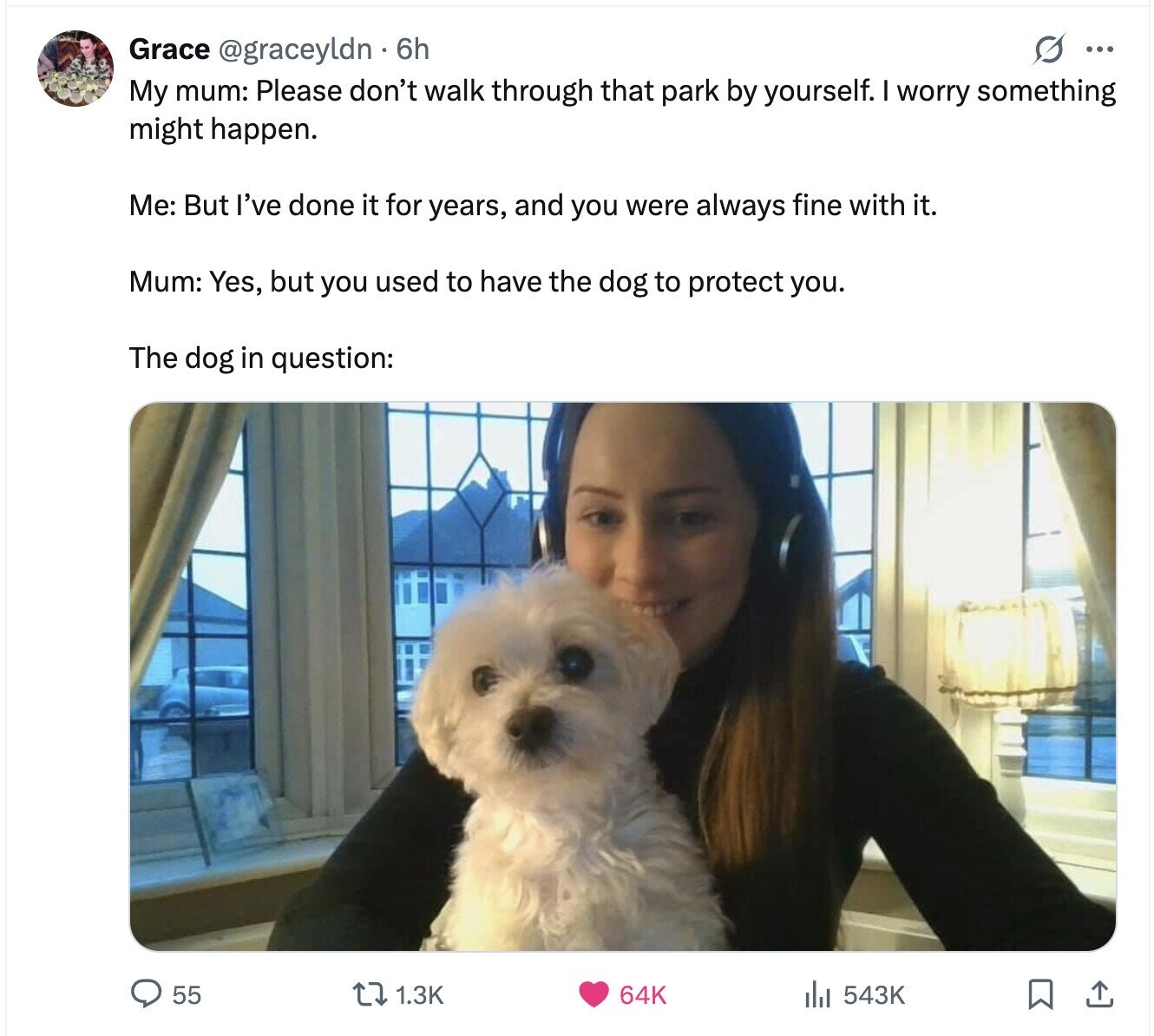 s ... Grace @graceyldn . 6h My mum: Please don't walk through that park by yourself. I worry something might happen. Me: But I've done it for years, and you were always fine with it. Mum: Yes, but you used to have the dog to protect you. The dog in question: 55 1.3K 64K 543K
