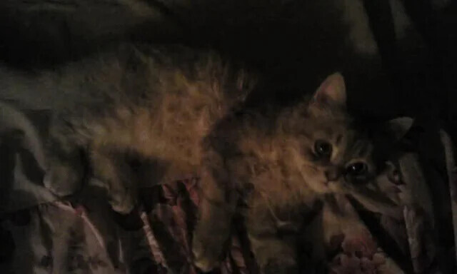 Zen to Zaney Photos Where Your Eyes Get Tricked