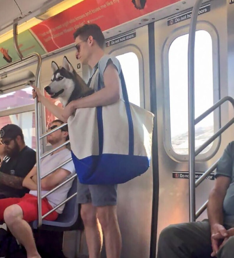 Notable Photos from a Recent Trip on the Subway