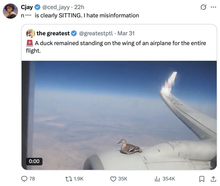 Cjay @ced_jayy 22h ... n**** is clearly SITTING. I hate misinformation the greatest @greatestptl Mar 31 A duck remained standing on the wing of an airplane for the entire flight. 1050-8 0:00 78 1.9K 35K 354K 