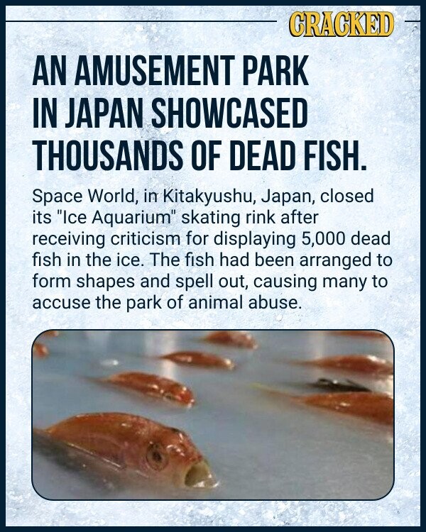 CRACKED AN AMUSEMENT PARK IN JAPAN SHOWCASED THOUSANDS OF DEAD FISH. Space World, in Kitakyushu, Japan, closed its Ice Aquarium skating rink after receiving criticism for displaying 5,000 dead fish in the ice. The fish had been arranged to form shapes and spell out, causing many to accuse the park of animal abuse.