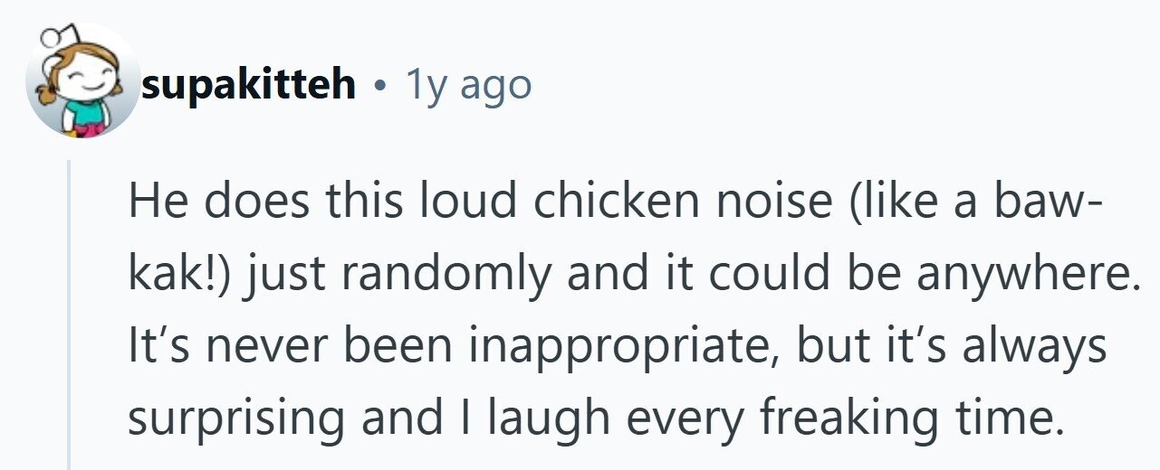 supakitteh . . 1y ago Не does this loud chicken noise (like a baw- kak!) just randomly and it could be anywhere. It's never been inappropriate, but it's always surprising and | laugh every freaking time.