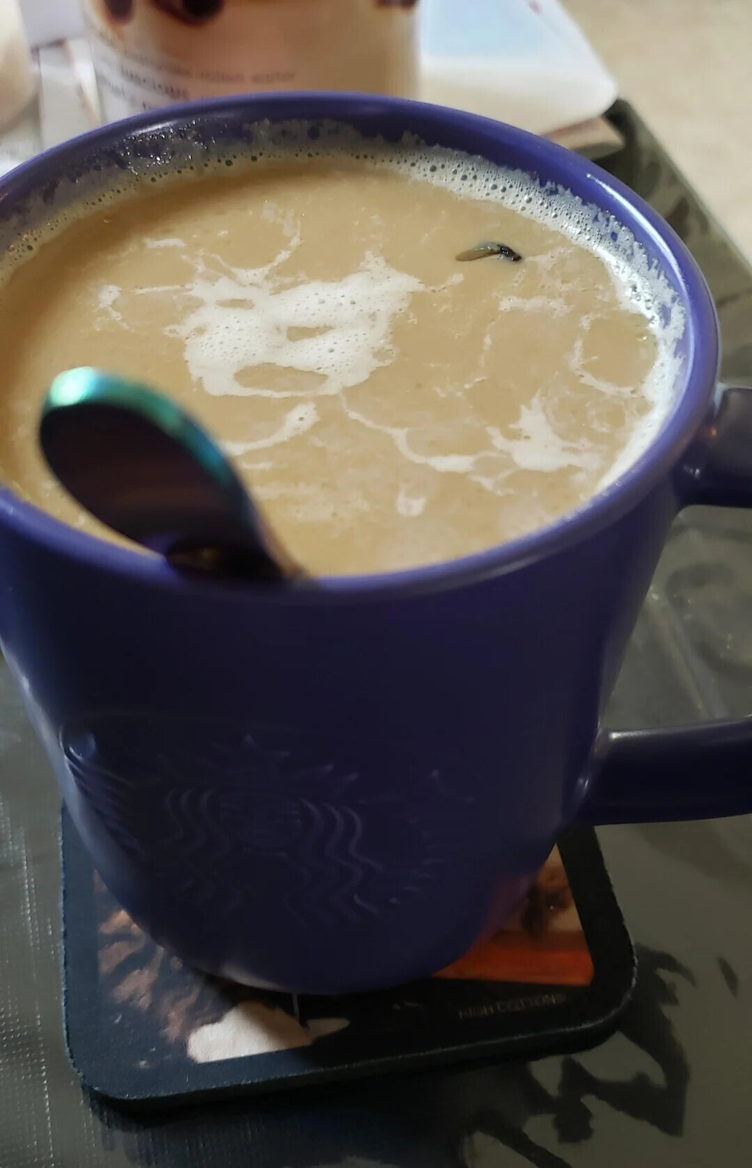 LAND adidas Enter HIGH COTTOND