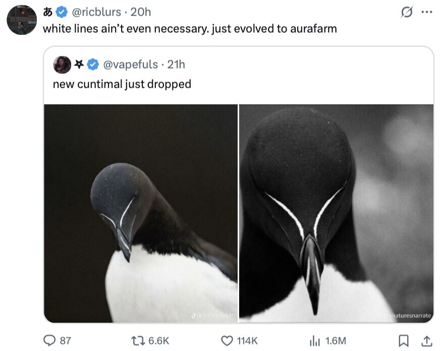 @ricblurs . 20h G ... white lines ain't even necessary. just evolved to aurafarm @vapefuls.2 21h new cuntimal just dropped j@naturesnarr tonaturesnarrate 87 6.6K 114K 1.6M 