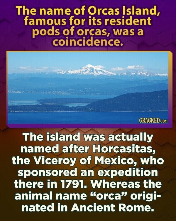 The name of Orcas Island, famous for its resident pods of orcas, was a coincidence. CRACKED.COM The island was actually named after Horcasitas, the Viceroy of Mexico, who sponsored an expedition there in 1791. Whereas the animal name orca origi- nated in Ancient Rome.