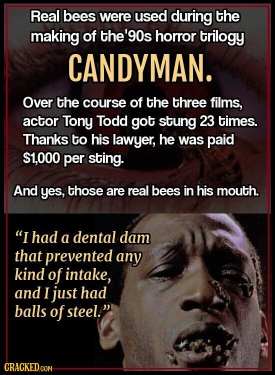 Real bees were used during the making of the '90s horror trilogy CANDYMAN. Over the course of the three films, actor Tony Todd got stung 23 times. Thanks to his lawyer, he was paid $1,000 per sting. And yes, those are real bees in his mouth. I had a dental dam that prevented any kind of intake, and I just had balls of steel. CRACKED.COM