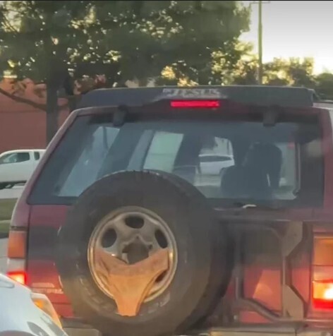 Memorable Images Showing Life’s Strange Public Moments