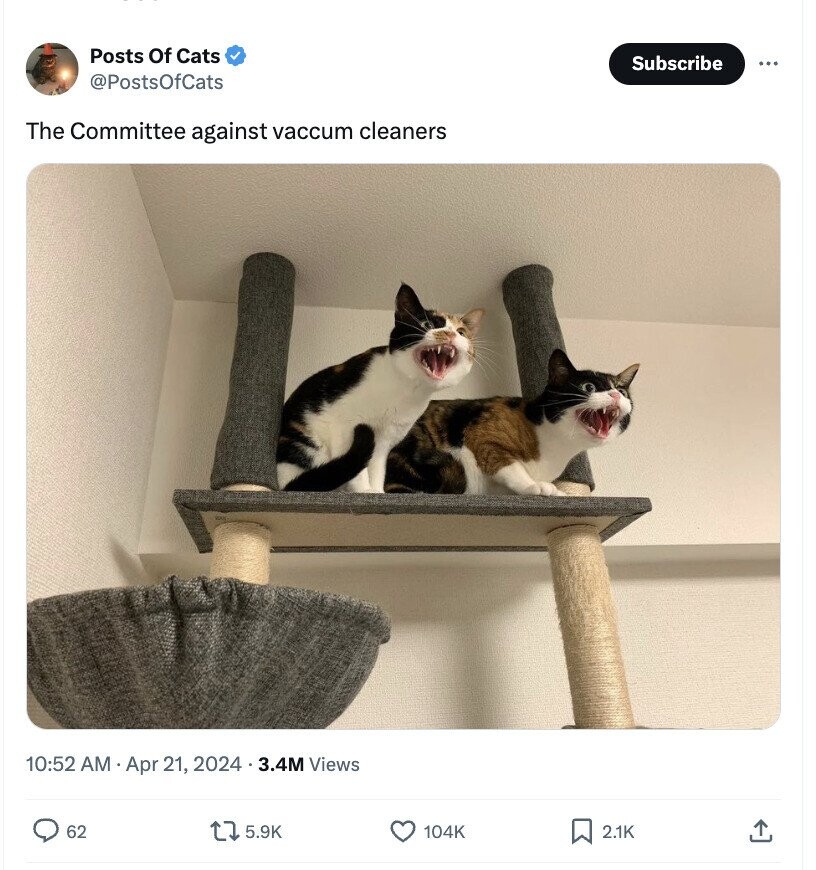 Posts Of Cats Subscribe ... @PostsOfCats The Committee against vaccum cleaners 10:52 AM Apr 21, 2024 4.3.4M Views 62 5.9K 104K 2.1K