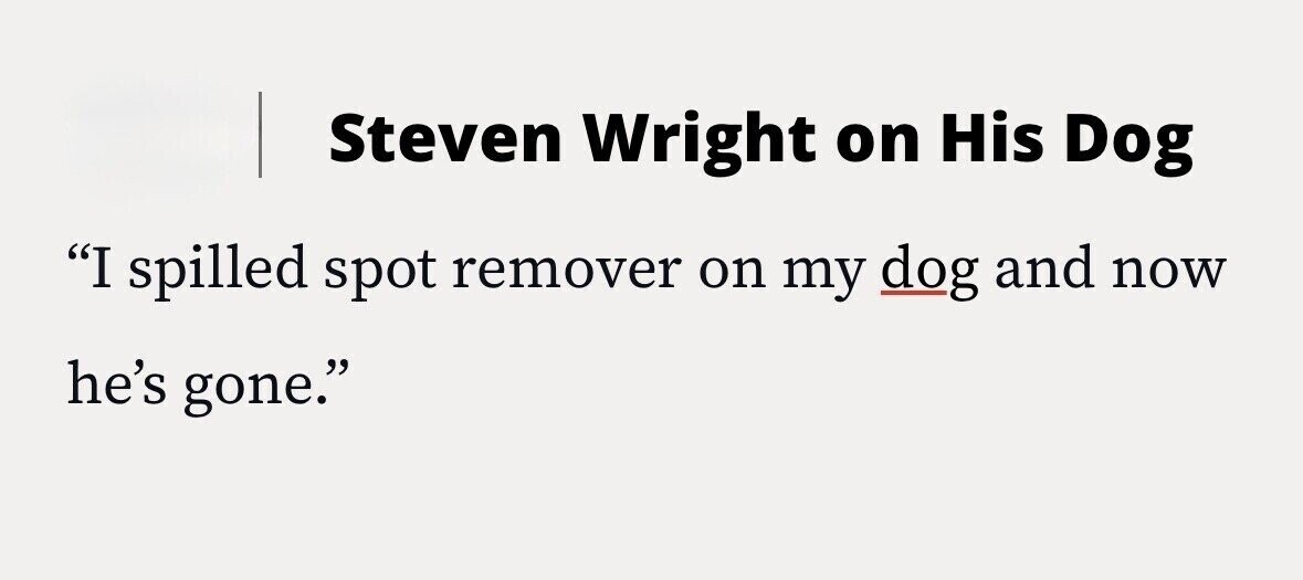 Steven Wright on His Dog I spilled spot remover on my dog and now he's gone.