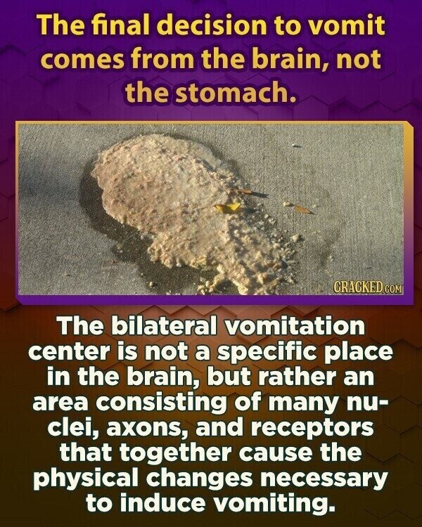 The final decision to vomit comes from the brain, not the stomach. CRACKED.COM The bilateral vomitation center is not a specific place in the brain, but rather an area consisting of many nu- clei, axons, and receptors that together cause the physical changes necessary to induce vomiting.